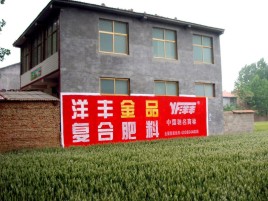 炉霍如何让墙体广告展现最大化效果